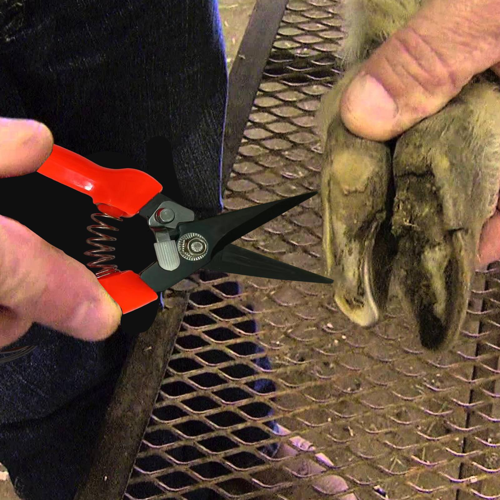 Garden Hand Trowel - เครื่องตัดกีบแกะ กรรไกรตัดแต่งกิ่งไม้ พืช ดอกไม้ กรรไกรตัดแต่งสวน กรรไกรตัดกีบแพะ