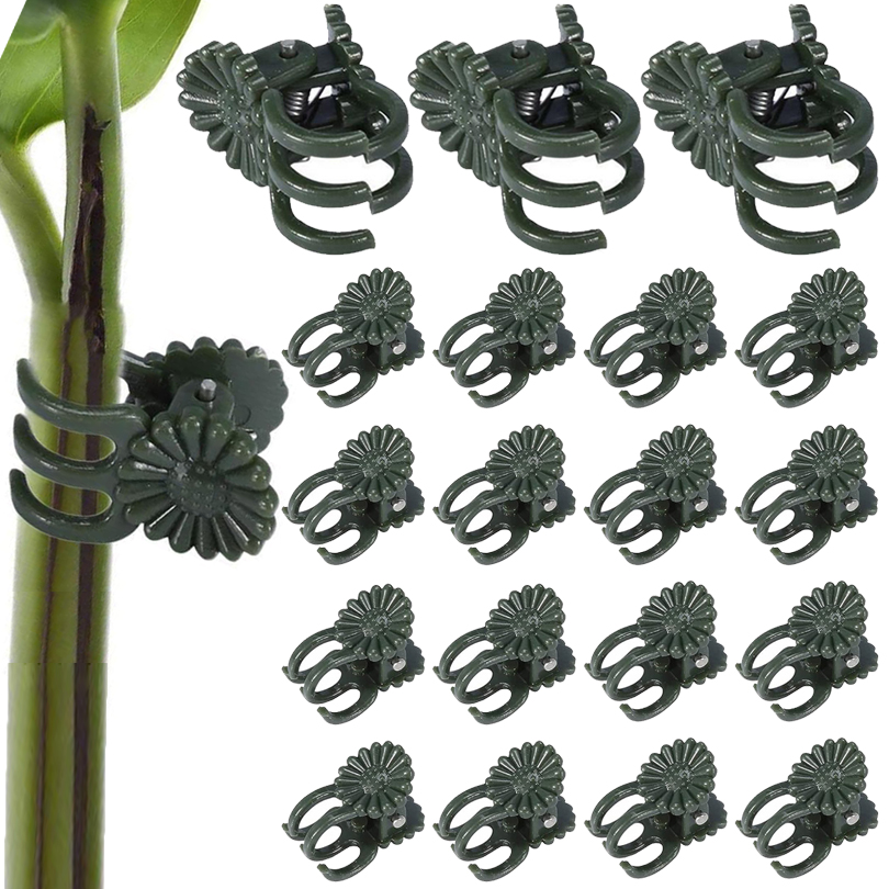 Gardening Tools Usa - คลิปหนีบต้นไม้20/50/100ชิ้นคลิปยึดเถาองุ่นรองรับพืชสำหรับการต่อกิ่งมะเขือเทศคลิปดอกไม้กล้วยไม้ผีเสื้อเครื่องมือตกแต่งสวน