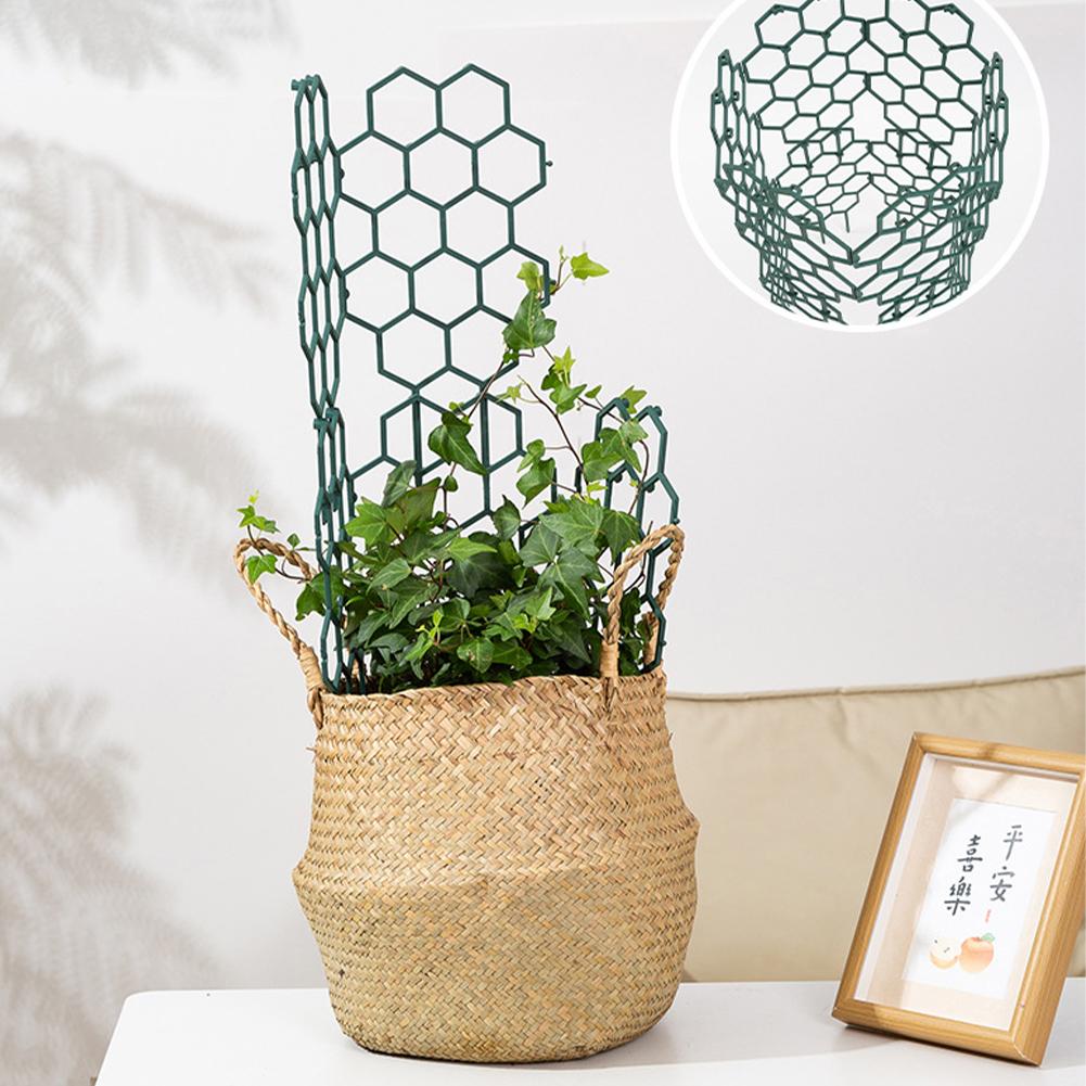 โครงพลาสติกสำหรับพยุงต้นไม้ 1/ - Gardening Tools Usa บทวิจารณ์และราคา