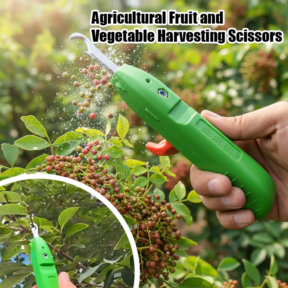 กรรไกรตัดผลไม้และผัก กรรไกรตัด - Gardening Tools Usa บทวิจารณ์และราคา