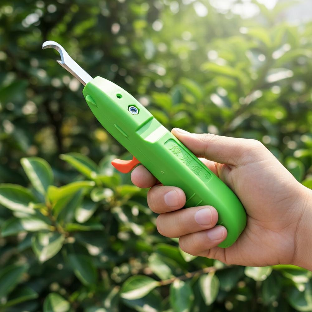 กรรไกรตัดผลไม้และผัก กรรไกรตัด - Gardening Tools Usa บทวิจารณ์และราคา