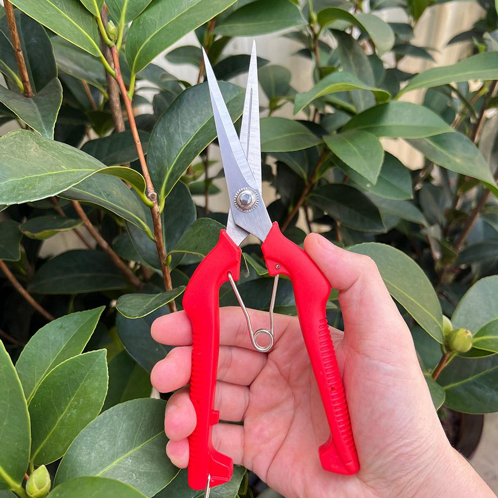 กรรไกรตัดแต่งกิ่ง Pro Garden แ - Gardening Tools Usa บทวิจารณ์และราคา
