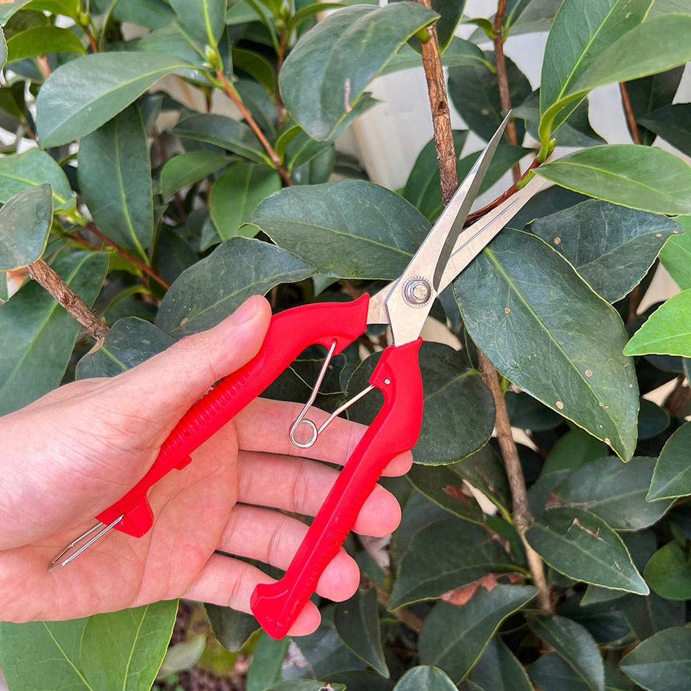 กรรไกรตัดแต่งกิ่ง Pro Garden แ - Gardening Tools Usa บทวิจารณ์และราคา