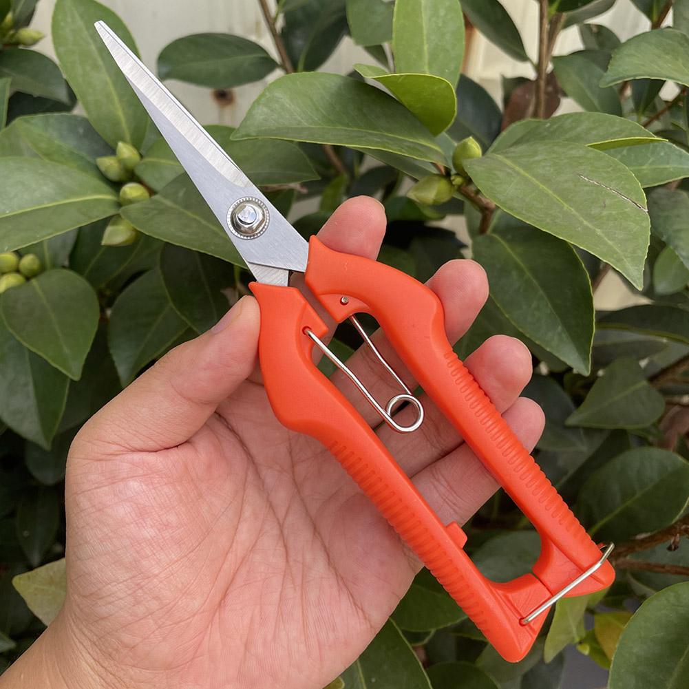 กรรไกรตัดแต่งกิ่ง Pro Garden แ - Gardening Tools Usa บทวิจารณ์และราคา