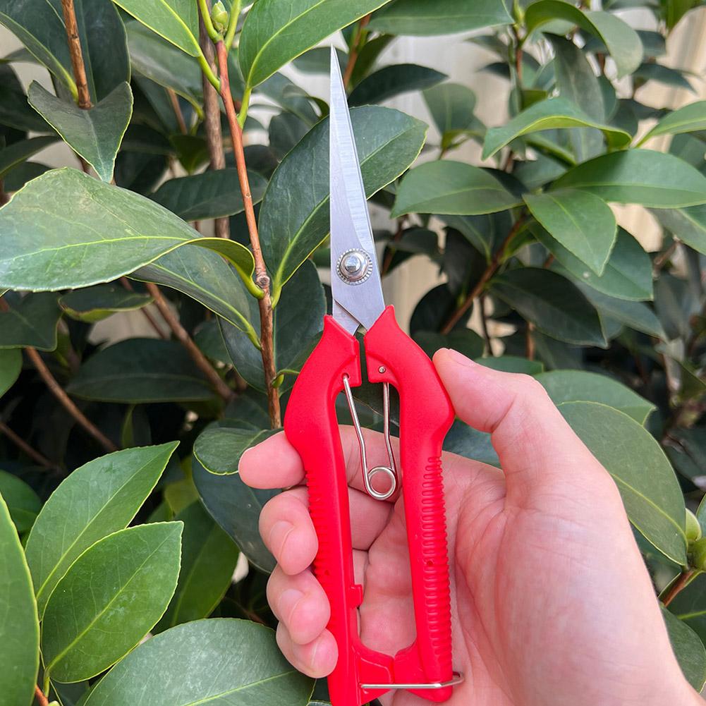 กรรไกรตัดแต่งกิ่ง Pro Garden แ - Gardening Tools Usa บทวิจารณ์และราคา